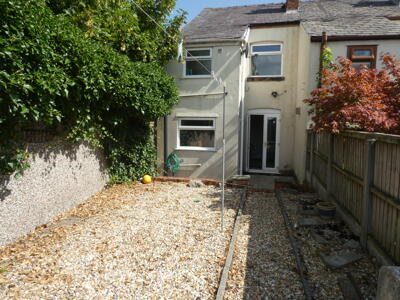 Picture 8